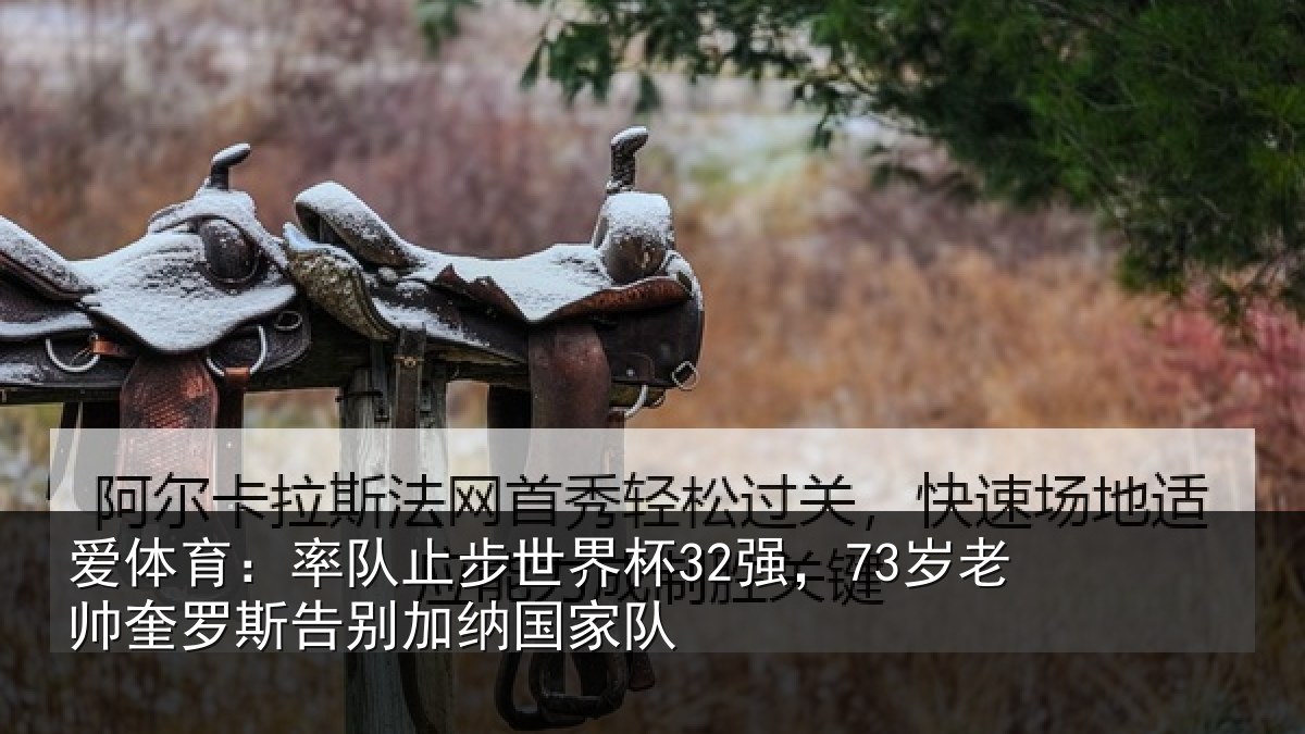 爱体育:率队相关情况帅奎相关情况队